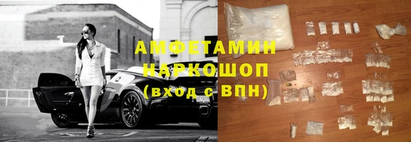 гидра Богородск