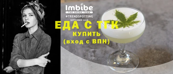 гидра Богородск