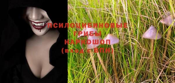 бутират Белокуриха