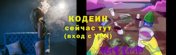 гидра Богородск