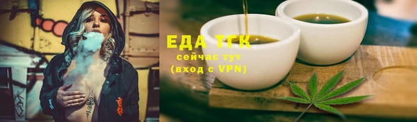 гидра Богородск