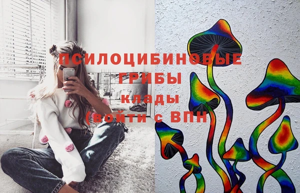 мяу мяу мука Богданович