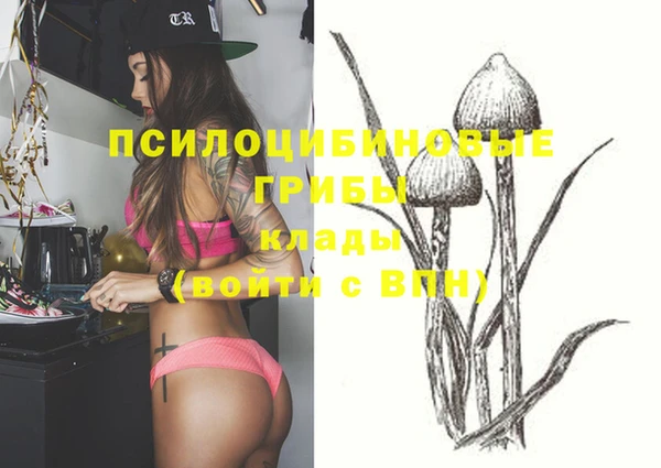 гашиш Богородицк