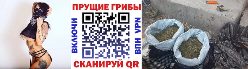 гидра зеркало  купить наркотик  Буйнакск  Псилоцибиновые грибы прущие грибы 